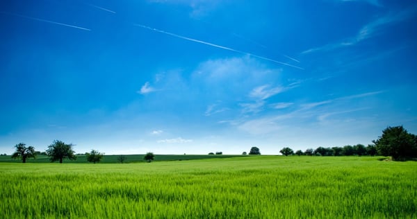 Pros & Cons Of Purchasing Undeveloped Land