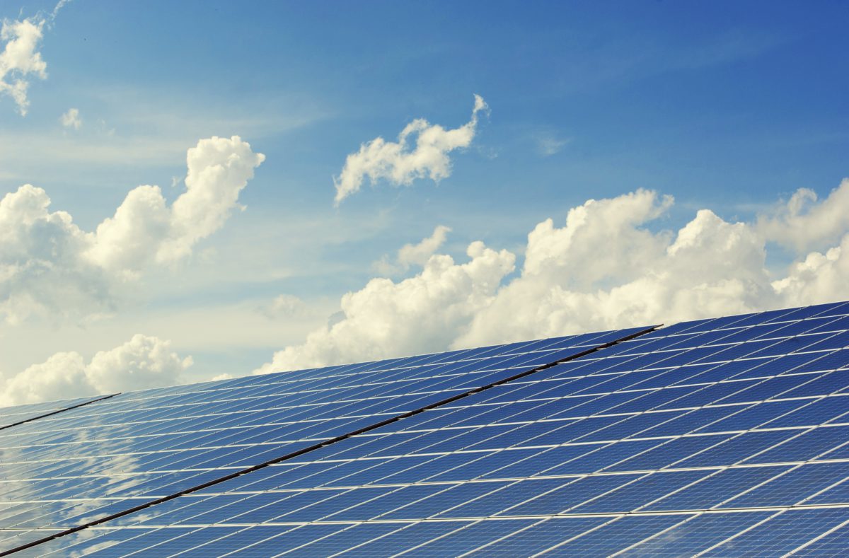 Consistent Trends in Green Building