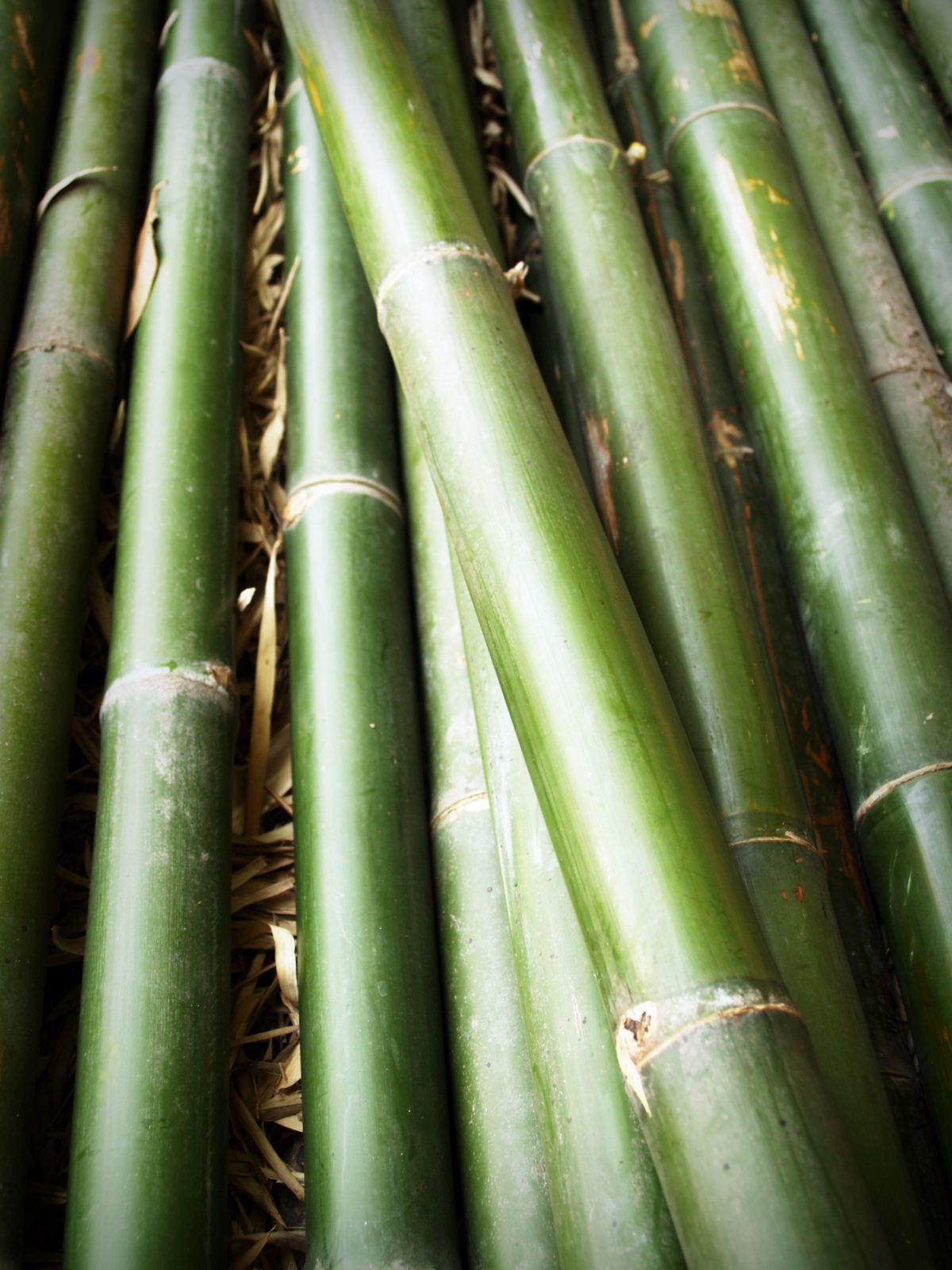 Incorporating Green Material in Construction